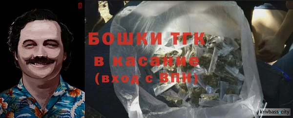 молекула духа Бронницы