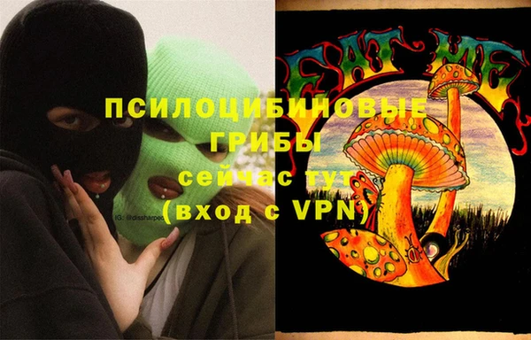гидра Бородино