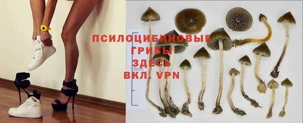 spice Бугульма