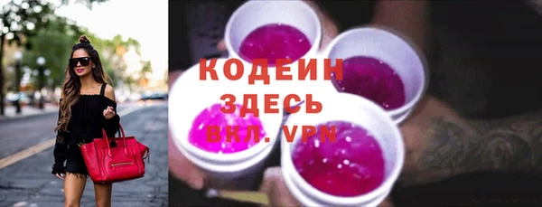 apvp Аша