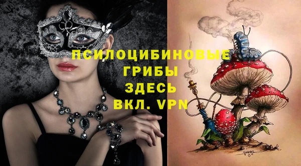 гидра Бородино