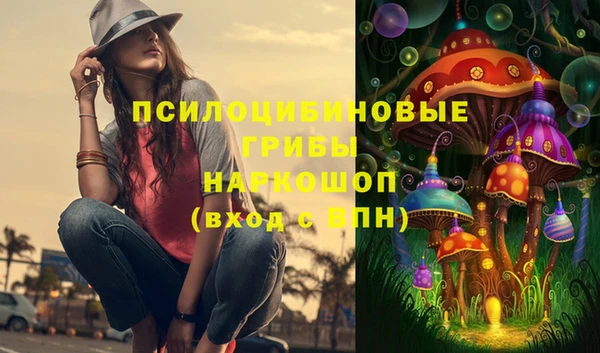 молекула духа Бронницы