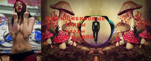 гидра Бородино