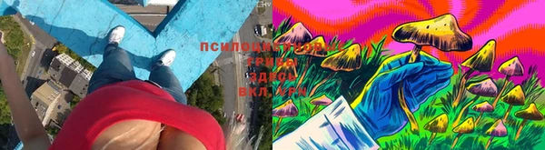 гидра Бородино