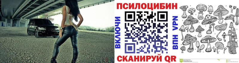 Галлюциногенные грибы мухоморы  Верхняя Пышма 