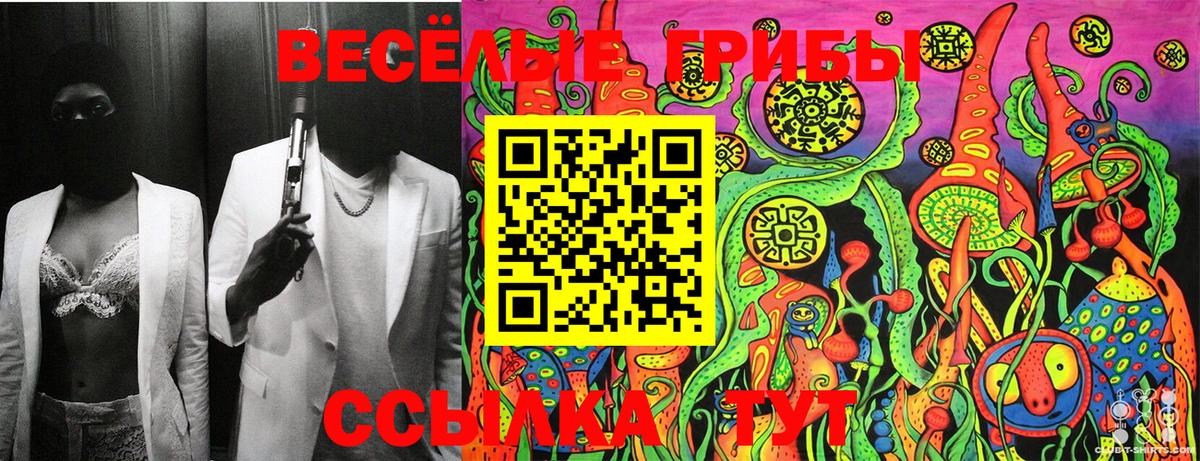 Галлюциногенные грибы Cubensis Верхняя Пышма