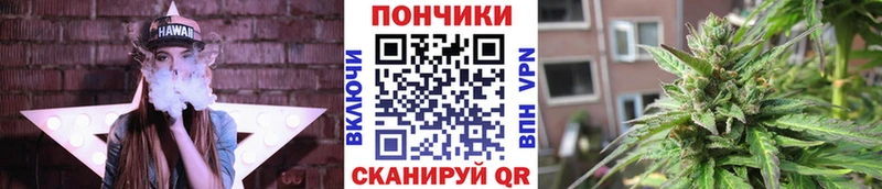 Бошки Шишки ГИДРОПОН Верхняя Пышма